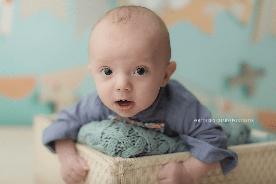 knoxville tn baby portraits