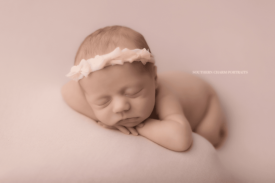 best newborn photographer knoxville tn