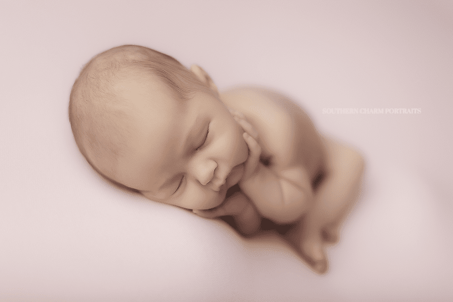 best newborn photographer knoxville