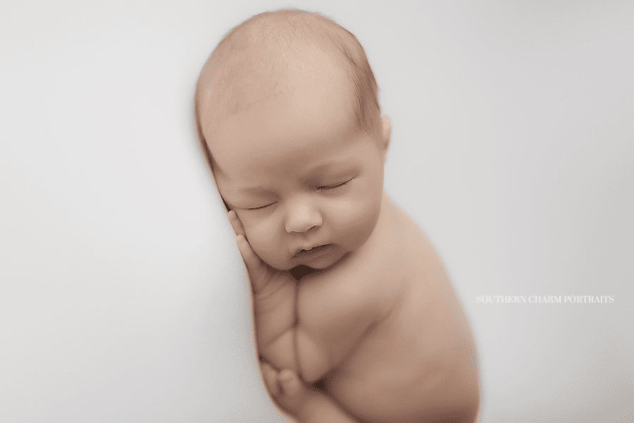 newborn photography maryville farragut 