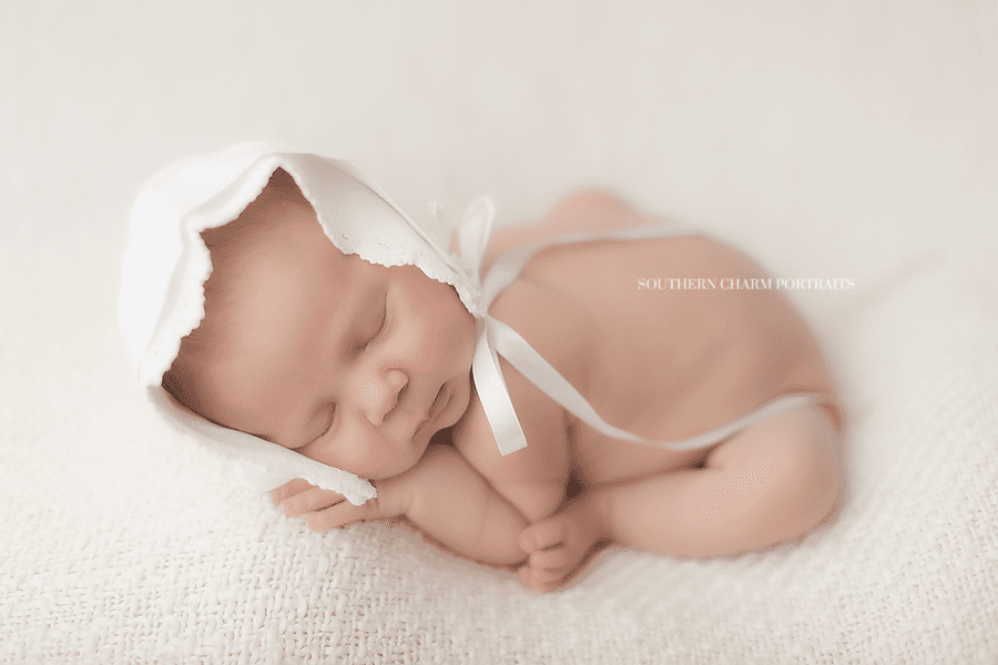 farragut newborn photographer