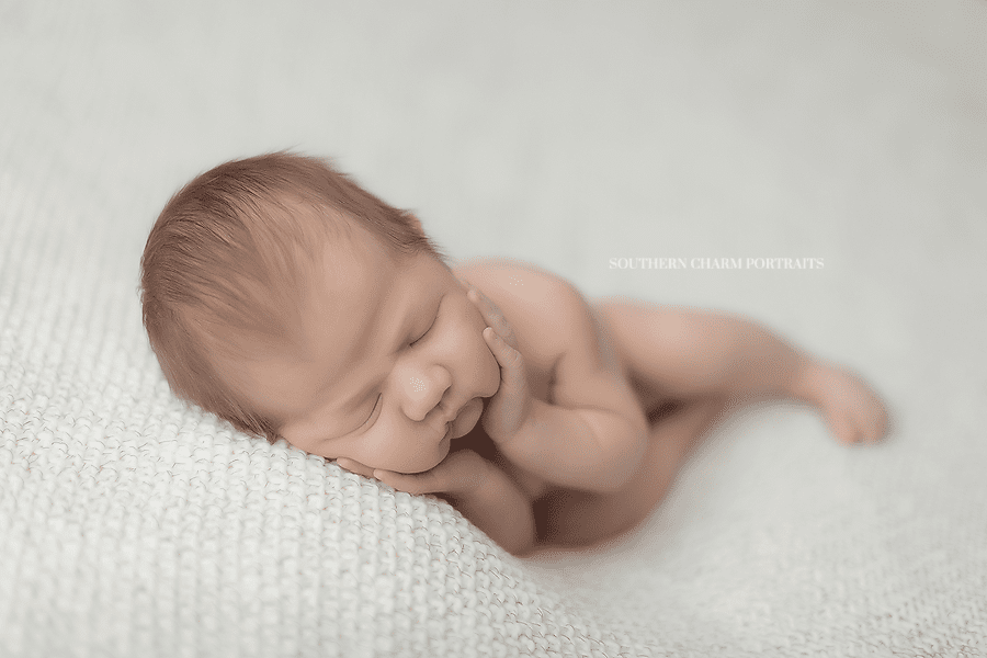 knoxville newborn photography