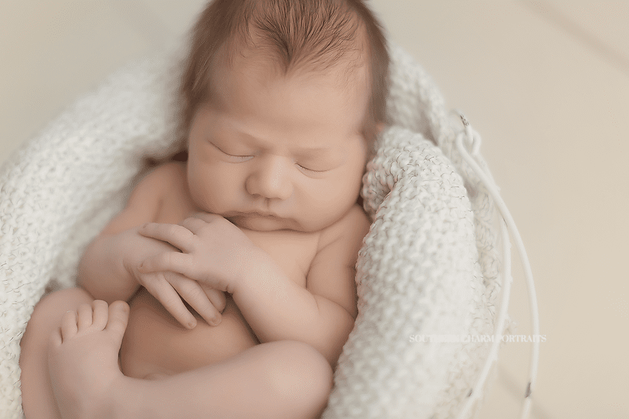 knoxville newborn portraiture