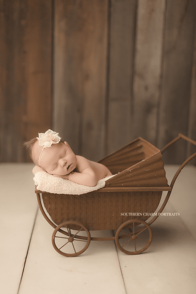 knoxville tn baby portraits