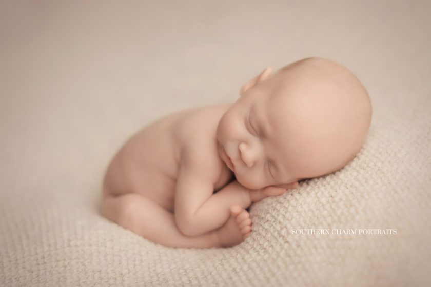best newborn photographer knoxville 