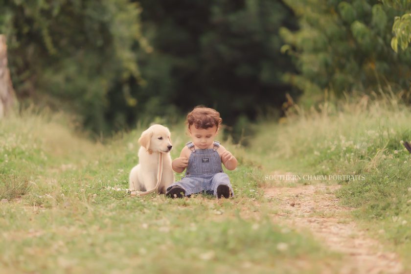 west knoxville portrait photographer 