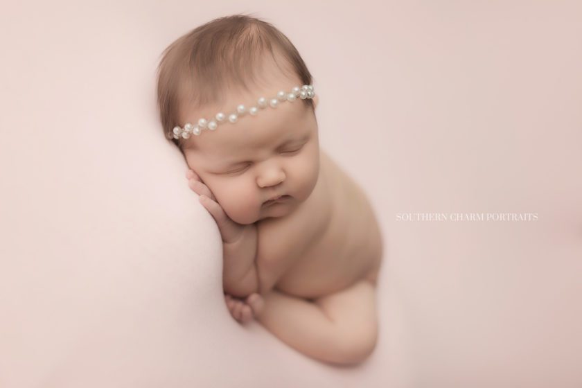 newborn photography in hardin valley, tn 