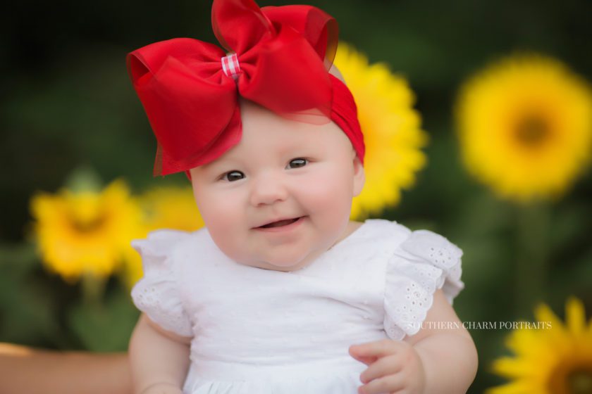 Baby photographer east tennessee