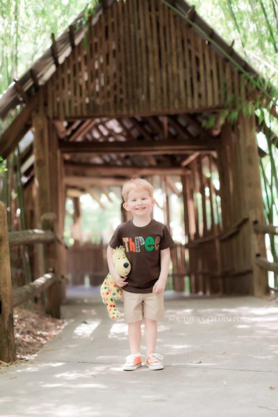 photographer for children in farragut tn 