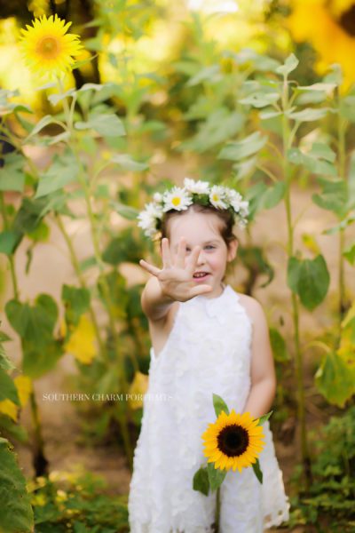 child photographer north knoxville, tn 