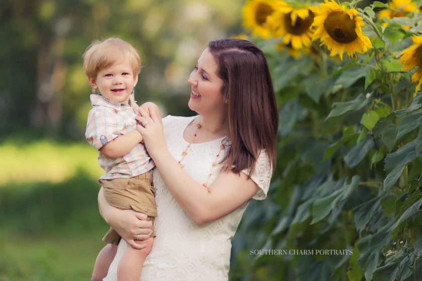 family photography studio powell tn 