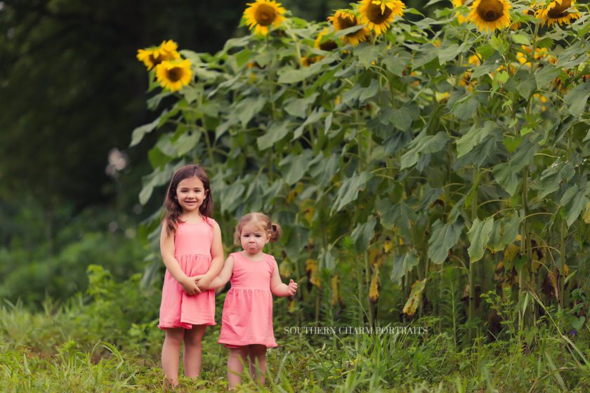 child photographer oak ridge, tn 