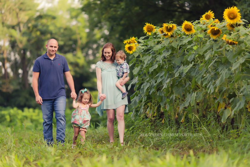 family photographer in powell, tn 