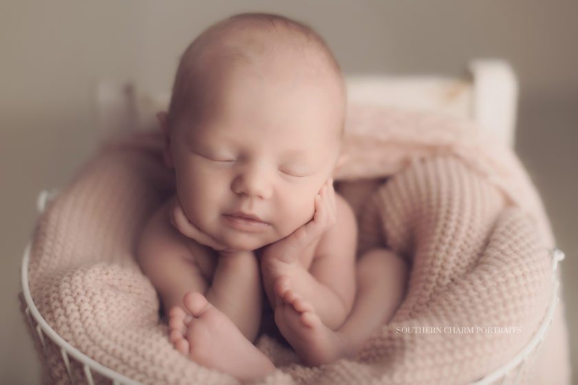 newborn photographer knoxville tn