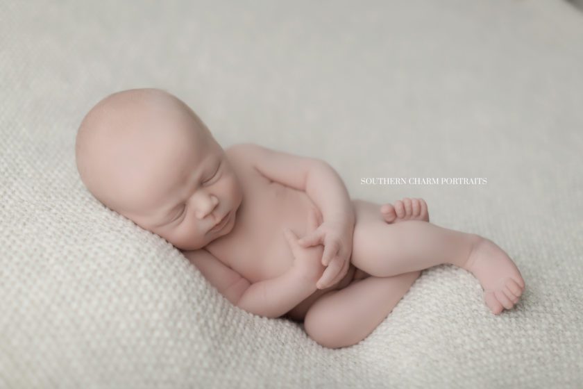 newborn photography knoxville tn 
