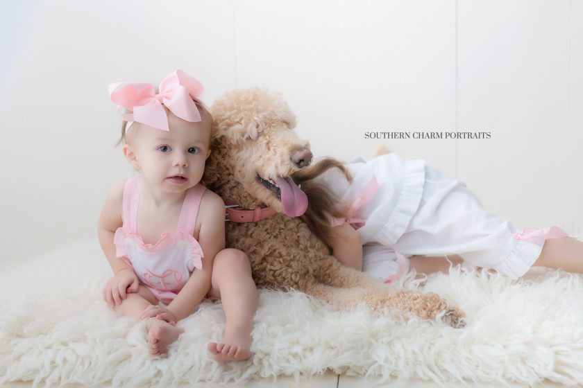 family photography studio powell, tn 
