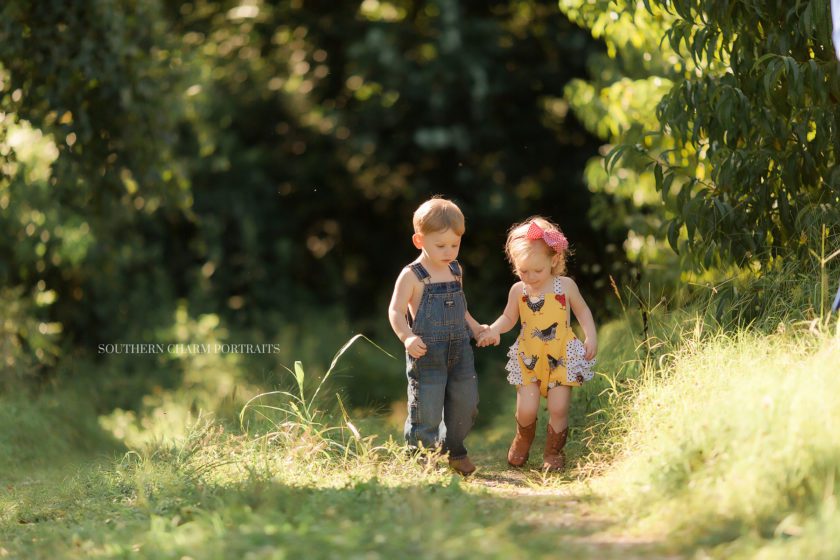 children photography studio powell tn 