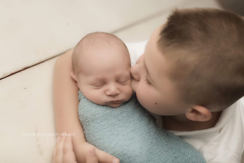 newborn photographer powell, tn 