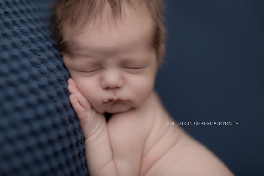 newborn photographer tri-cities 