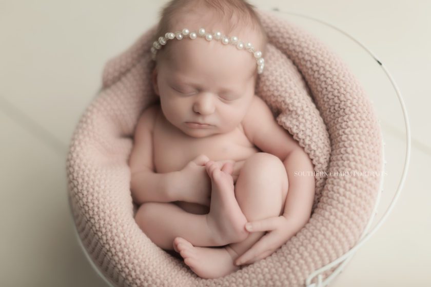 newborn photographer in east knoxville 