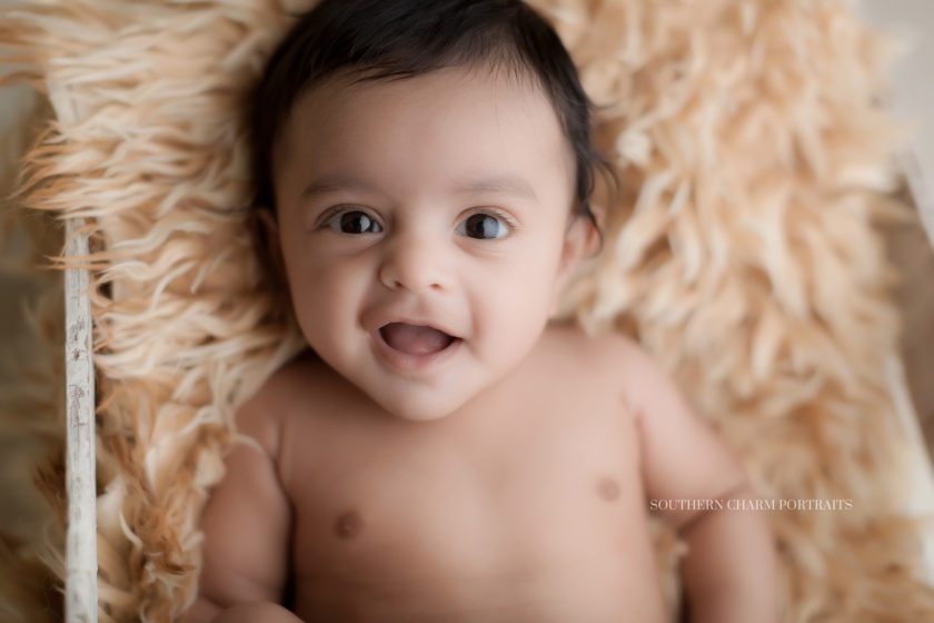 baby portraits lafollette, tn 