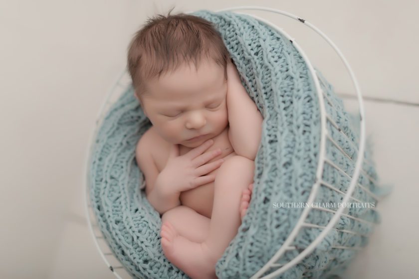 photographer for newborns in Knoxville, TN 