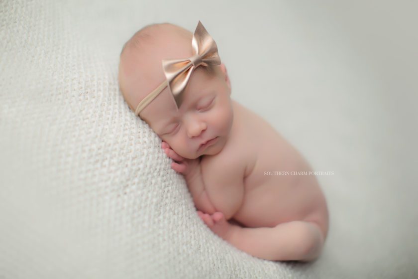 newborn portrait studio lafollette, tn 