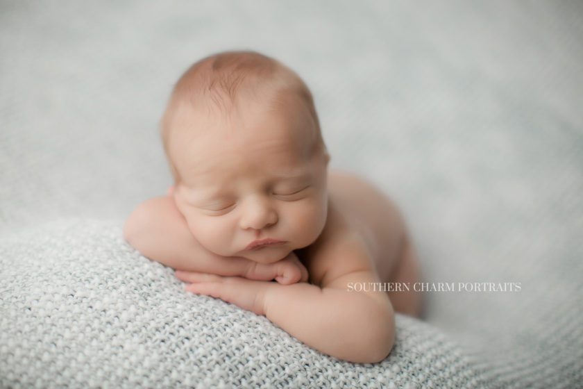 newborn portrait studio powell, tn 