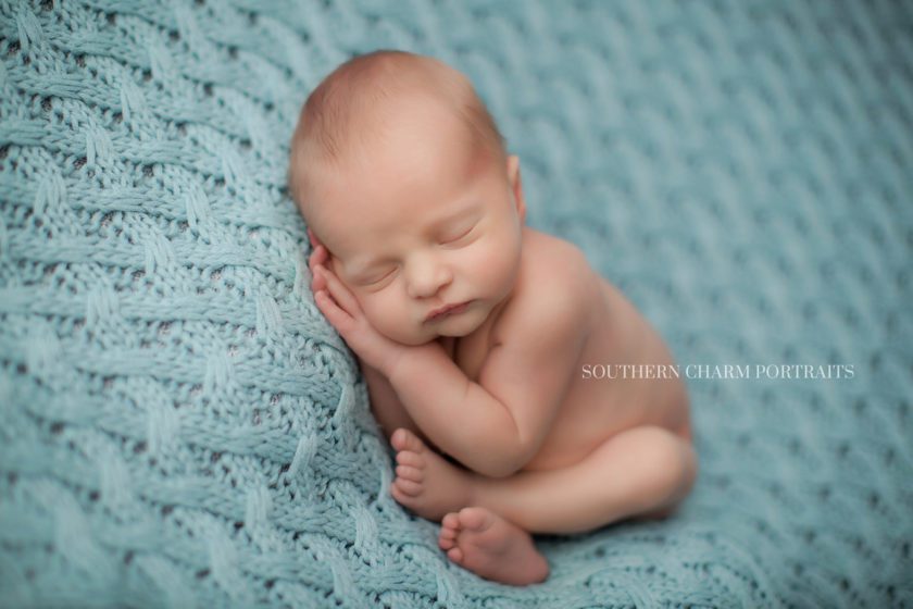 newborn portraits in west knoxville, tn 
