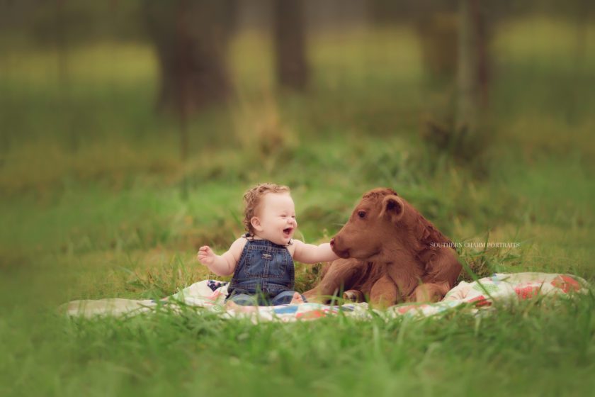 baby portraits knoxville, tn 