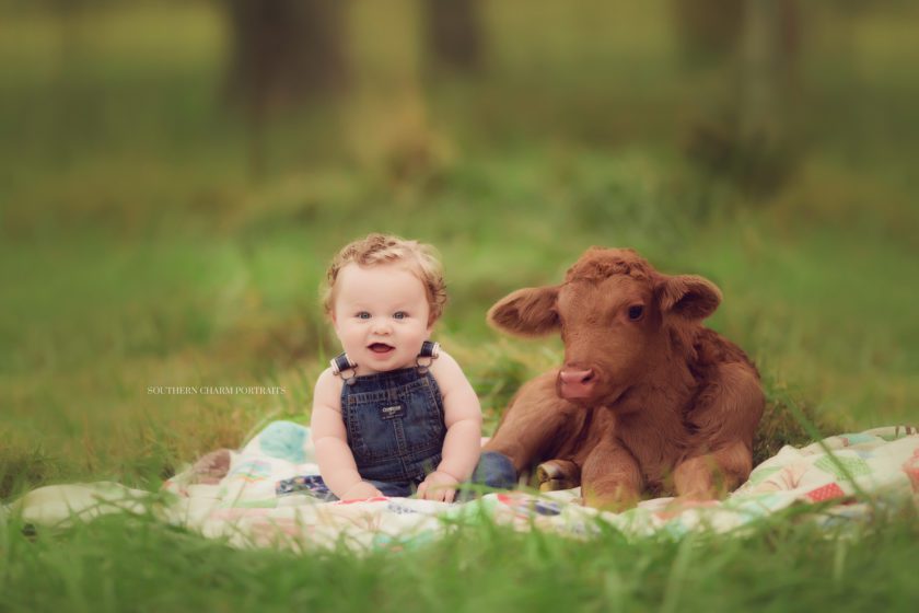 baby photographer in west knoxville, tn