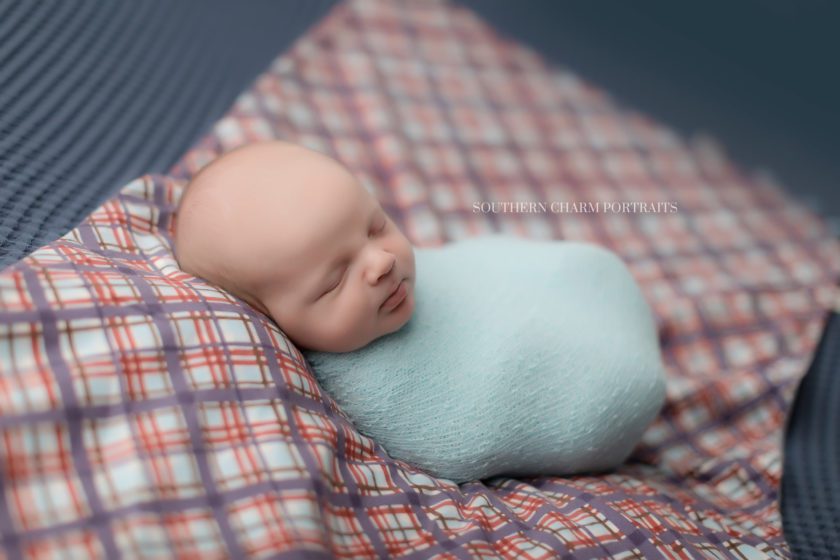 Portrait studio in north knoxville for newborns 