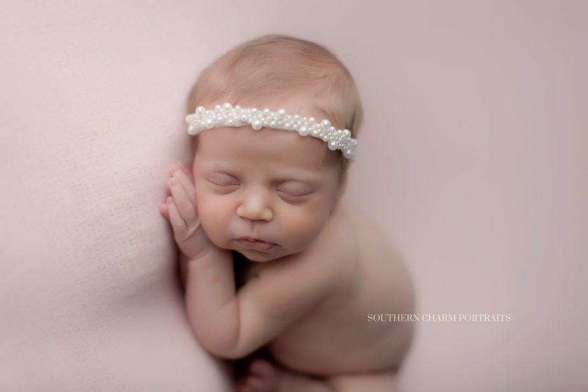 newborn portraits knoxville, tn 