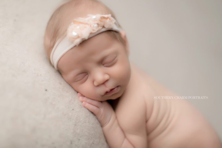 newborn portrait studio emory rd, knoxville tn 