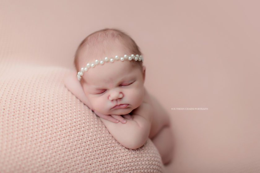 newborn portrait studio powell tn 