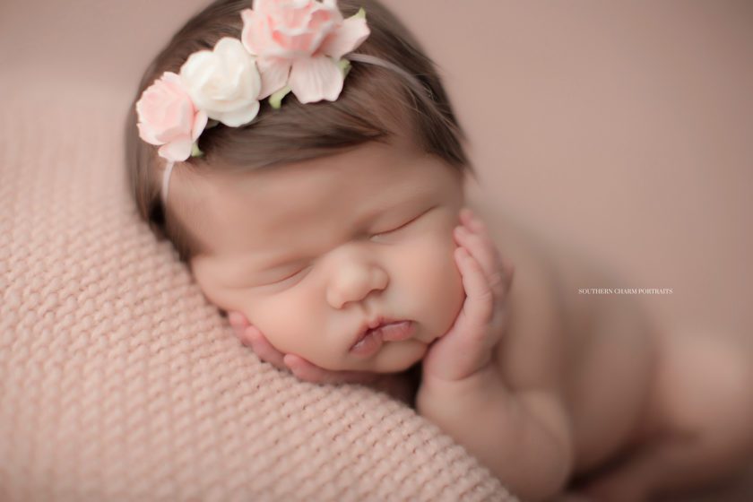 LaFollette TN newborn portrait studio 