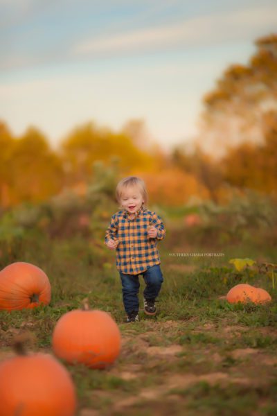 baby portraits west knoxville, tn 