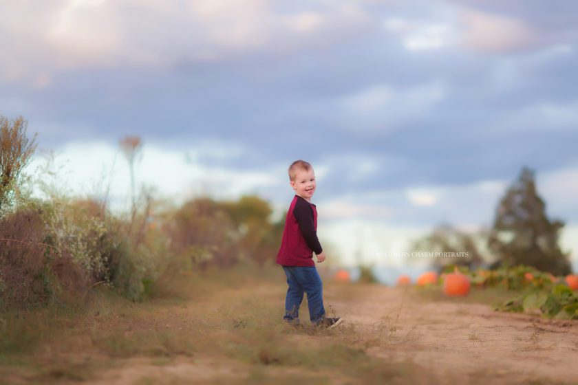 toddler photographer West Knoxville, TN 