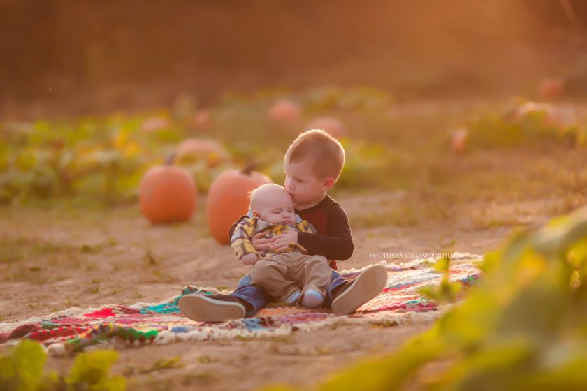 CHildren's photographer Knoxville, TN 