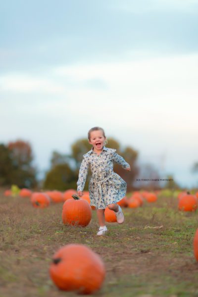 childrens photographer in knoxville