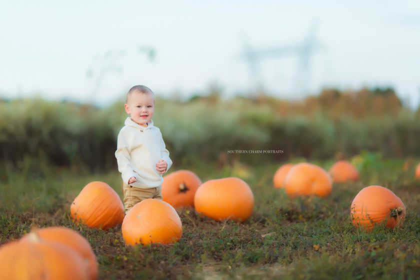 baby photographer East TN 