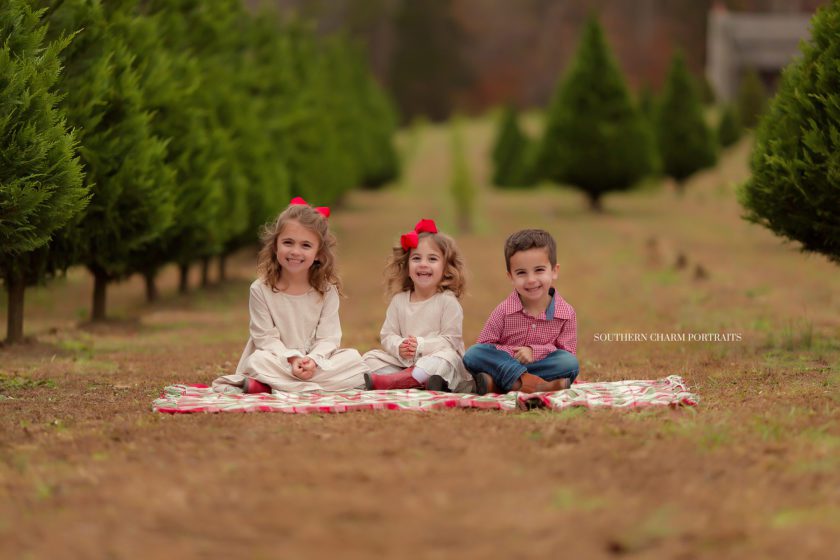 university of tn baby photographer