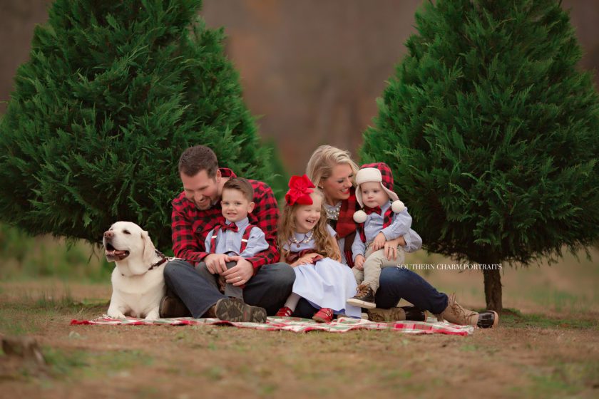 family photography knoxville tn