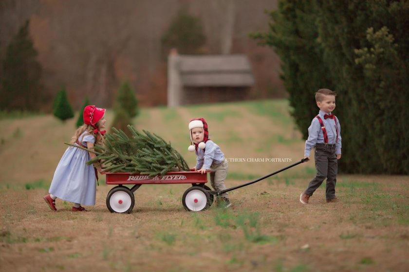 knoxville family portraits