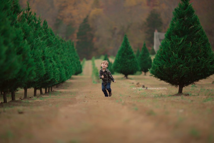 knoxville's best children's photographer