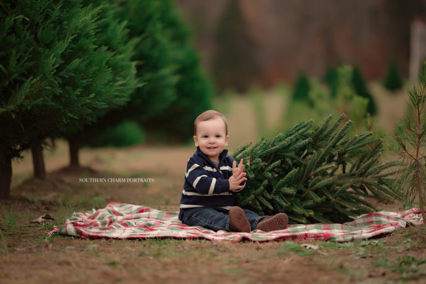knoxville baby photographer 