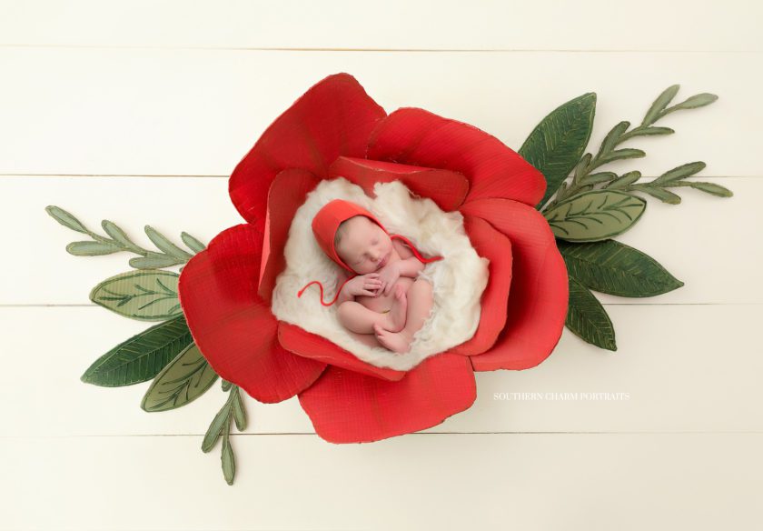 ut medical center newborn portraits