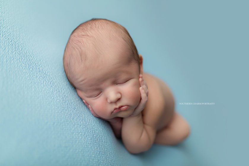 best newborn photographer tennessee