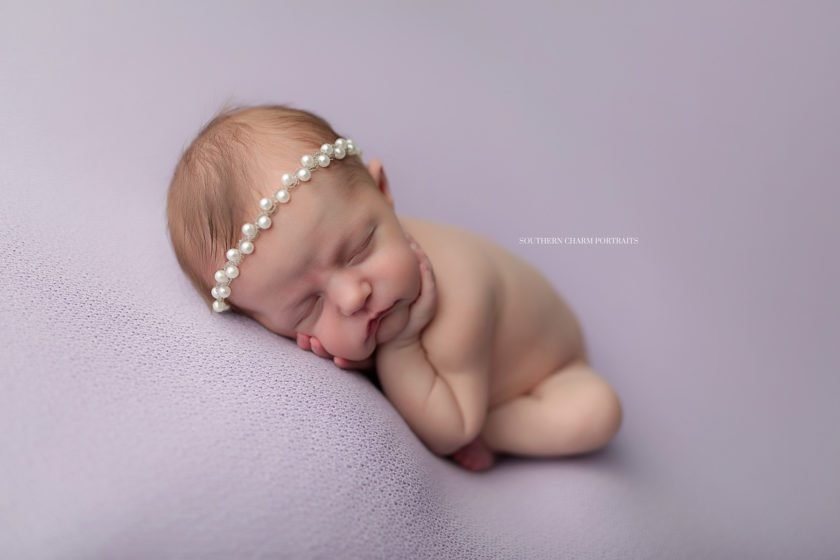 family photographer clinton tn