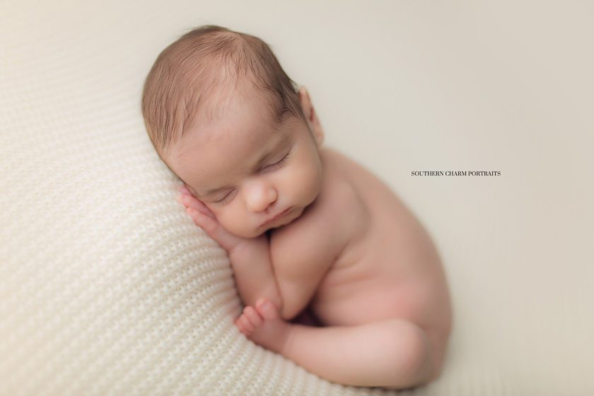 newborn photography studio knoxville tn